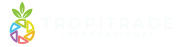 TTIExp Footer