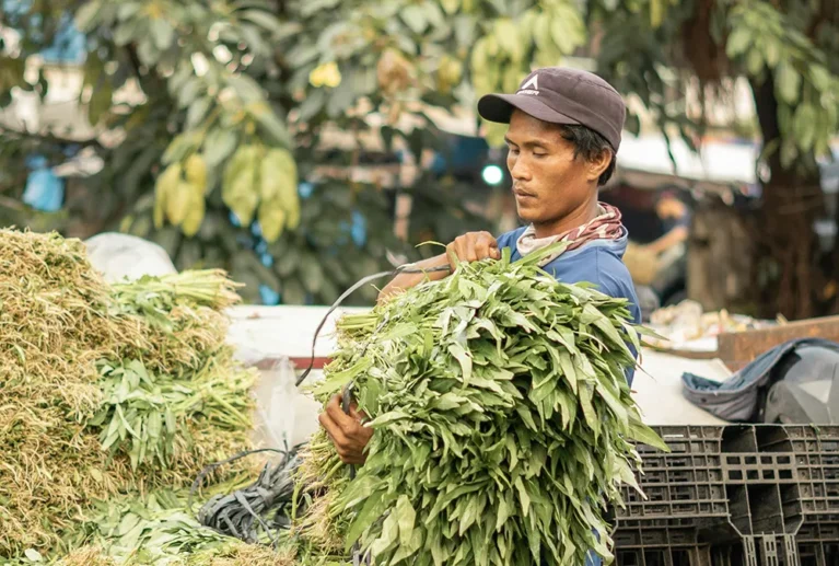 Wendell Berry said it best when he said that “eating is an agricultural act.” Our mission is to change the food system by providing a healthy, fresh alternative to industrial food.