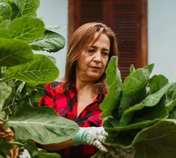We grow fresh, organic produce using clean methods that protect nature, healthy food.