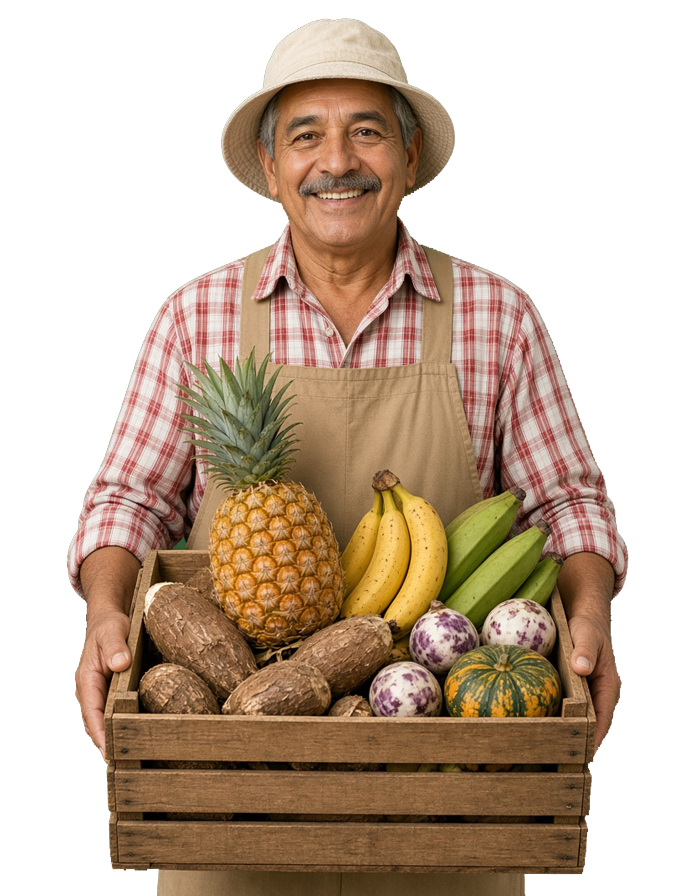 Tropical Fruits